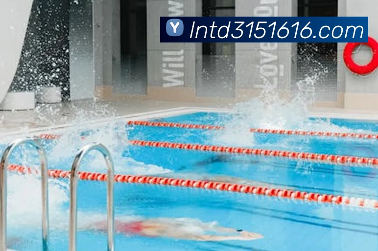 必一运动平台生态图