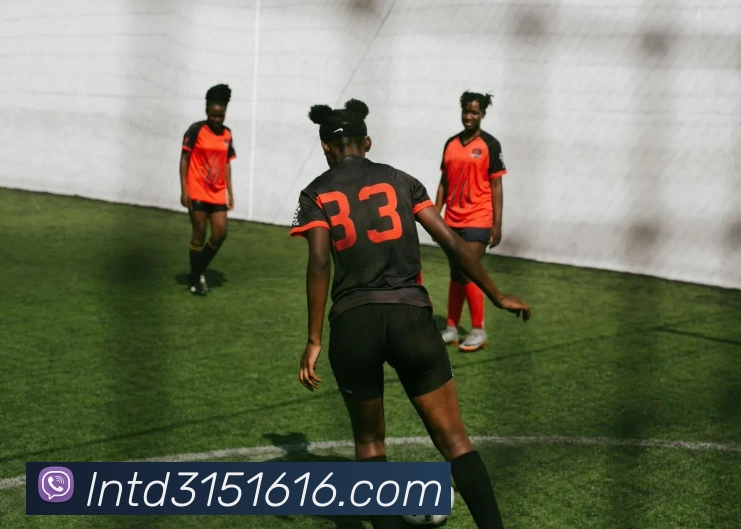 多媒体互动体验